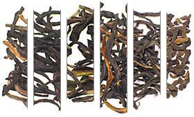 Black Tea Samples